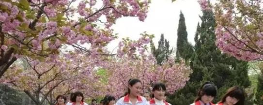 临沂技师学院