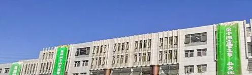 成都青苗国际双语学校小学部