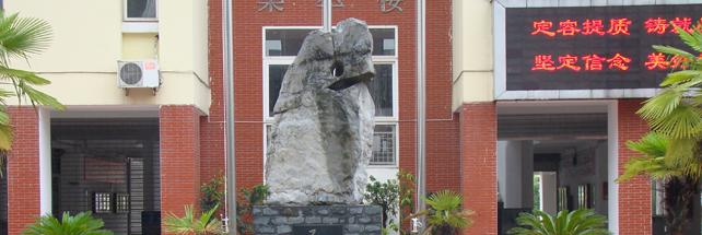 合肥世界外国语学校小学部2020年招生计划