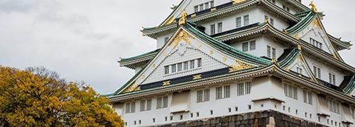 定制课程
