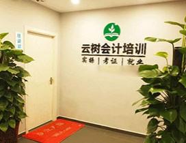 东莞云树会计培训