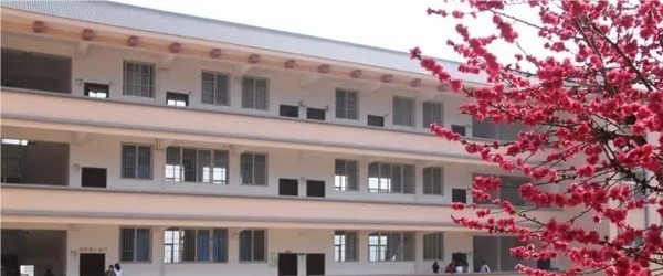 峨山彝族自治县职业高级中学2021年录取分数线