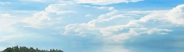  深圳桃源居中澳实验学校2023年入学考试