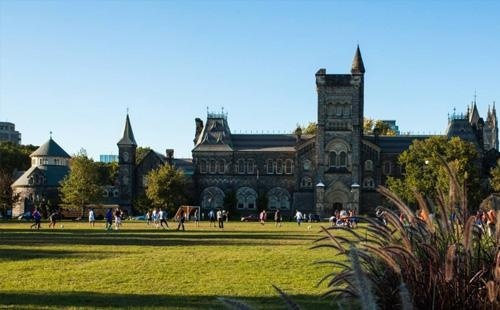 多伦多大学
