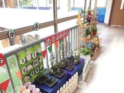 环境创设.jpg