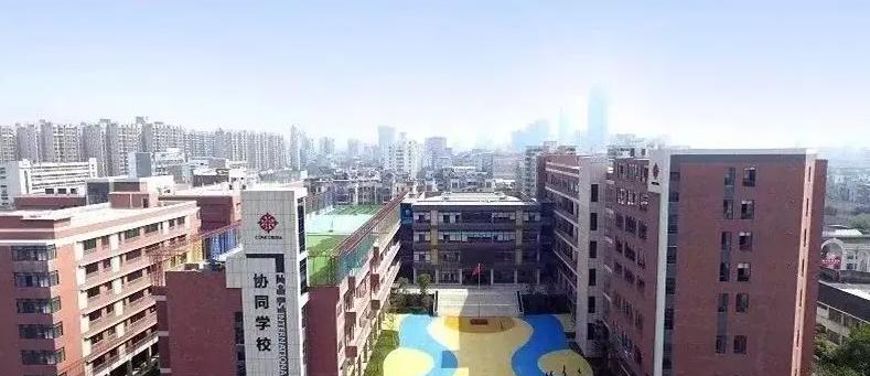 佛山协同国际学校2023年入学条件