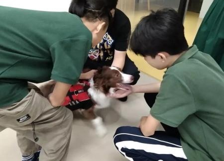 深圳德朗睿思国际学校