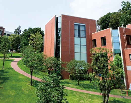 常磐大学