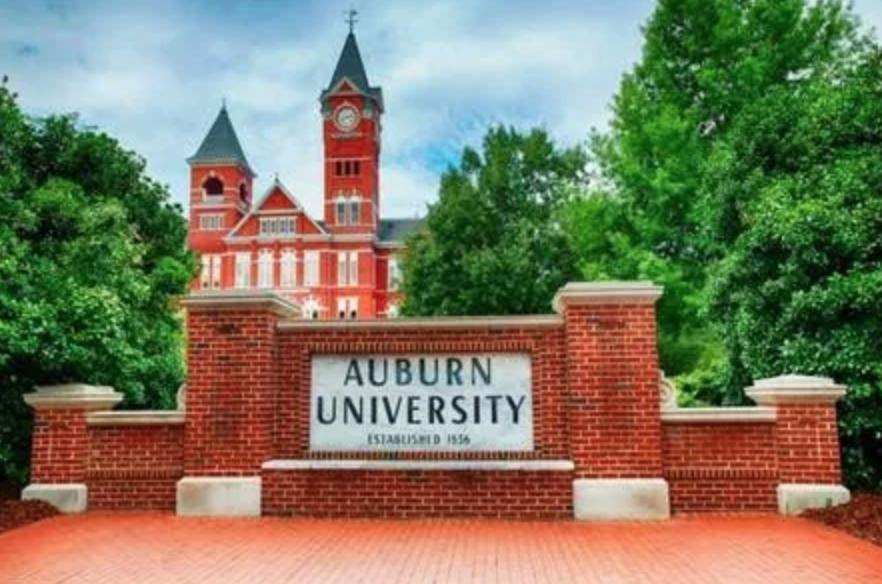 屏幕快照 2019-05-07 下午5.27.34.png