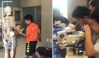 嘉德圣玛丽苏州学校