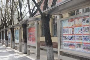 中瑞君华国际教育北京校区文化墙