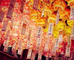 我们团队