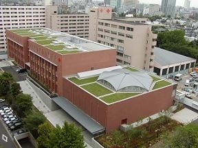 日本红十字北海道看护大学