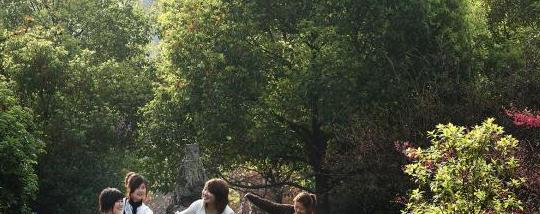 截图20200415143726