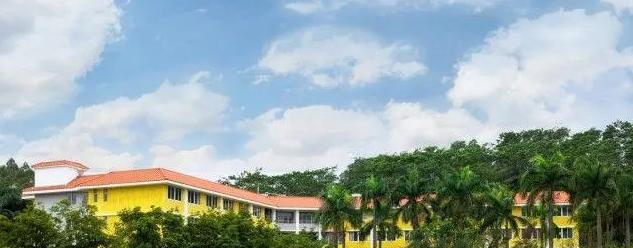 广州誉德莱国际学校初中部2023年招生政策2