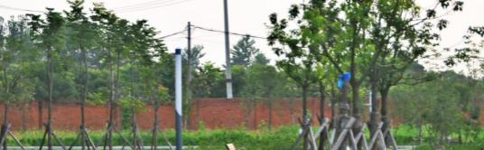 安徽体育运动职业技术学院2020年报名条件、招生要求、招生对象