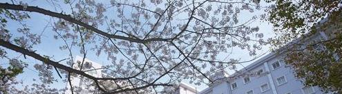 湖北艺术职业学院单招简章