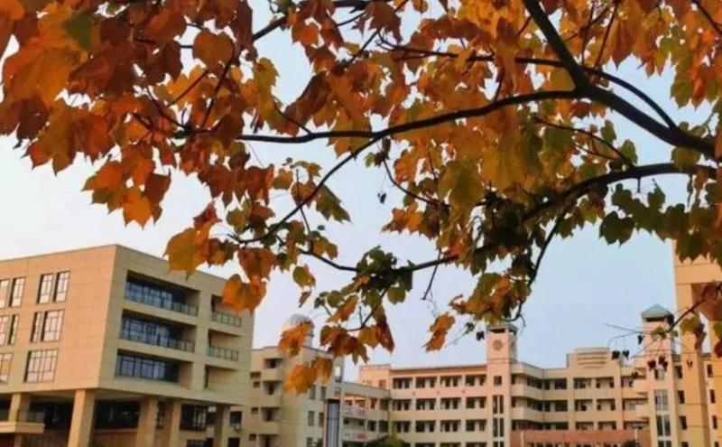 苏州市草桥实验中学