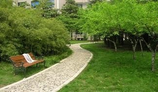 南京金陵中学河西分校国际部