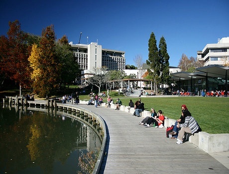 怀卡托大学