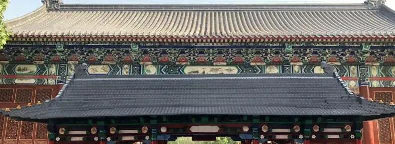 北京王府学校2023年招生代码