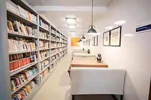 TICC存志学校中国香港班（DSE课程）招生简章