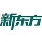 石家庄新东方英语