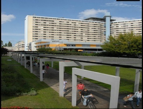 波尔多大学