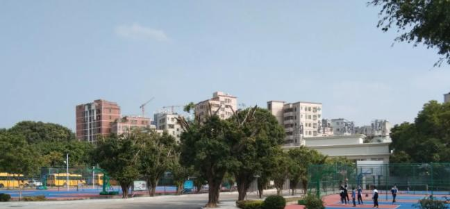 深圳康桥书院怎么样