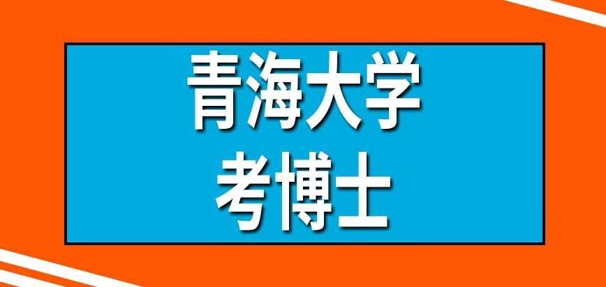 青海大学在职研究生能考博士吗