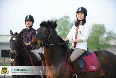 加拿大教育和中国教育到底有哪些不同？作业上