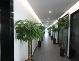合肥跨考考研