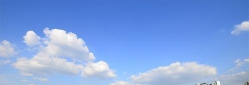 广西城市职业学院单招2019年单独招生录取分数线