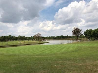 剑桥文理与剑桥艺术学校