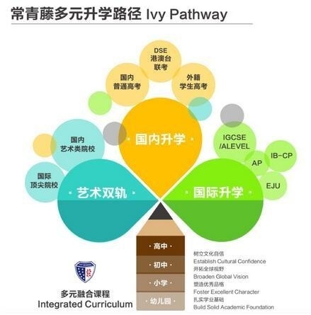 常青藤多元升学路径.jpg