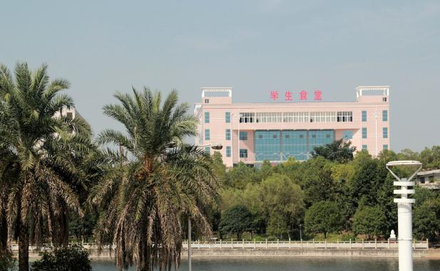 截图20200317131509