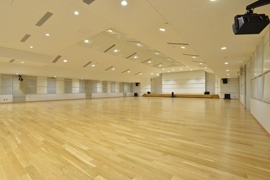 京都精华大学