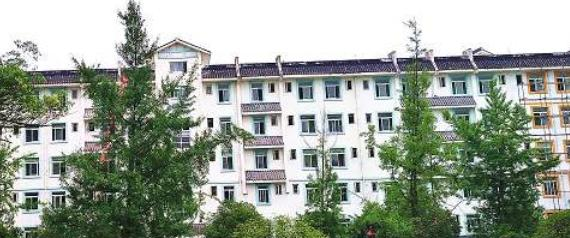 都江堰石羊镇中学网站 