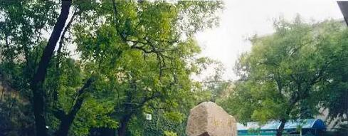 北京第三十五中学国际部2023年入学条件