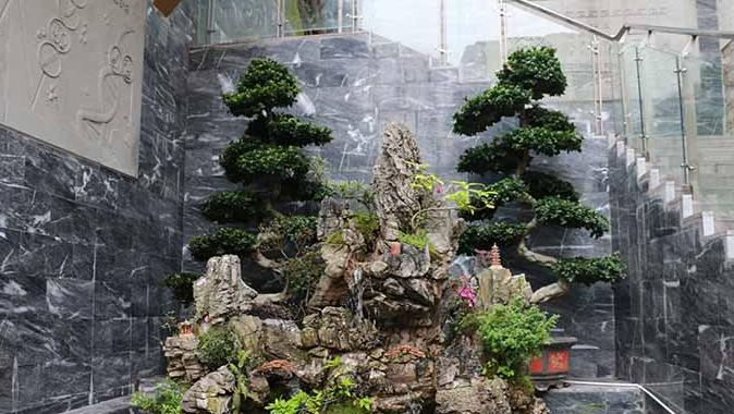 重庆医药经贸学校