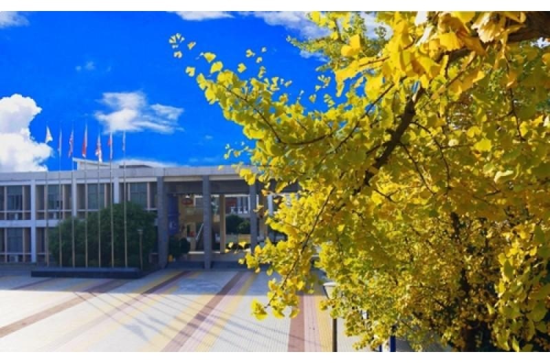 重庆双语学校国际部