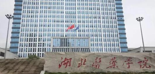 湖北医药学院是211还是985(湖北医药学院)