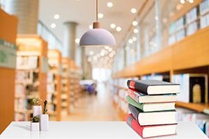 可以获得太奇私密内部资料