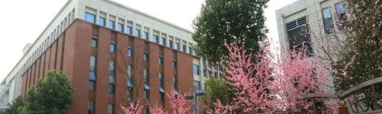 綿陽富樂國際學(xué)校小學(xué)部怎么樣、好不好