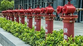 个性化学习方案