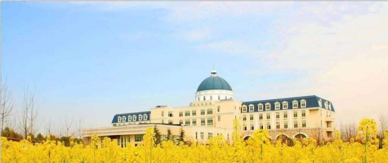 大悟中等职业学校2020年有哪些专业
