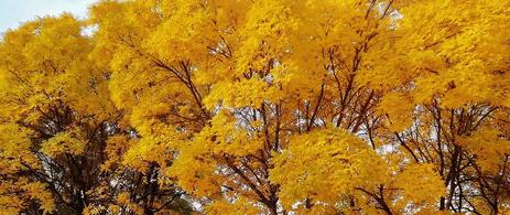 甘肃能源化工职业学院五年制大专2020年招生简章