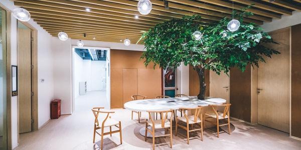 广州瑜伽培训班哪个好