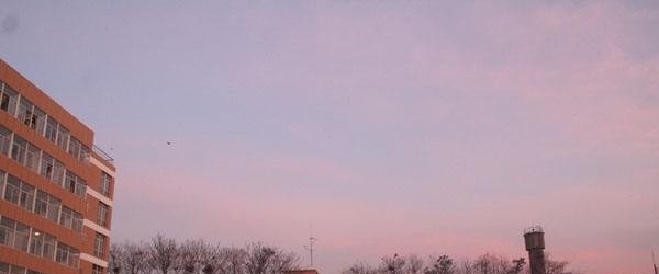 山西国际商务职业学院单招简章