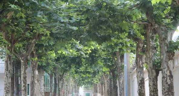 截图_20211116125516